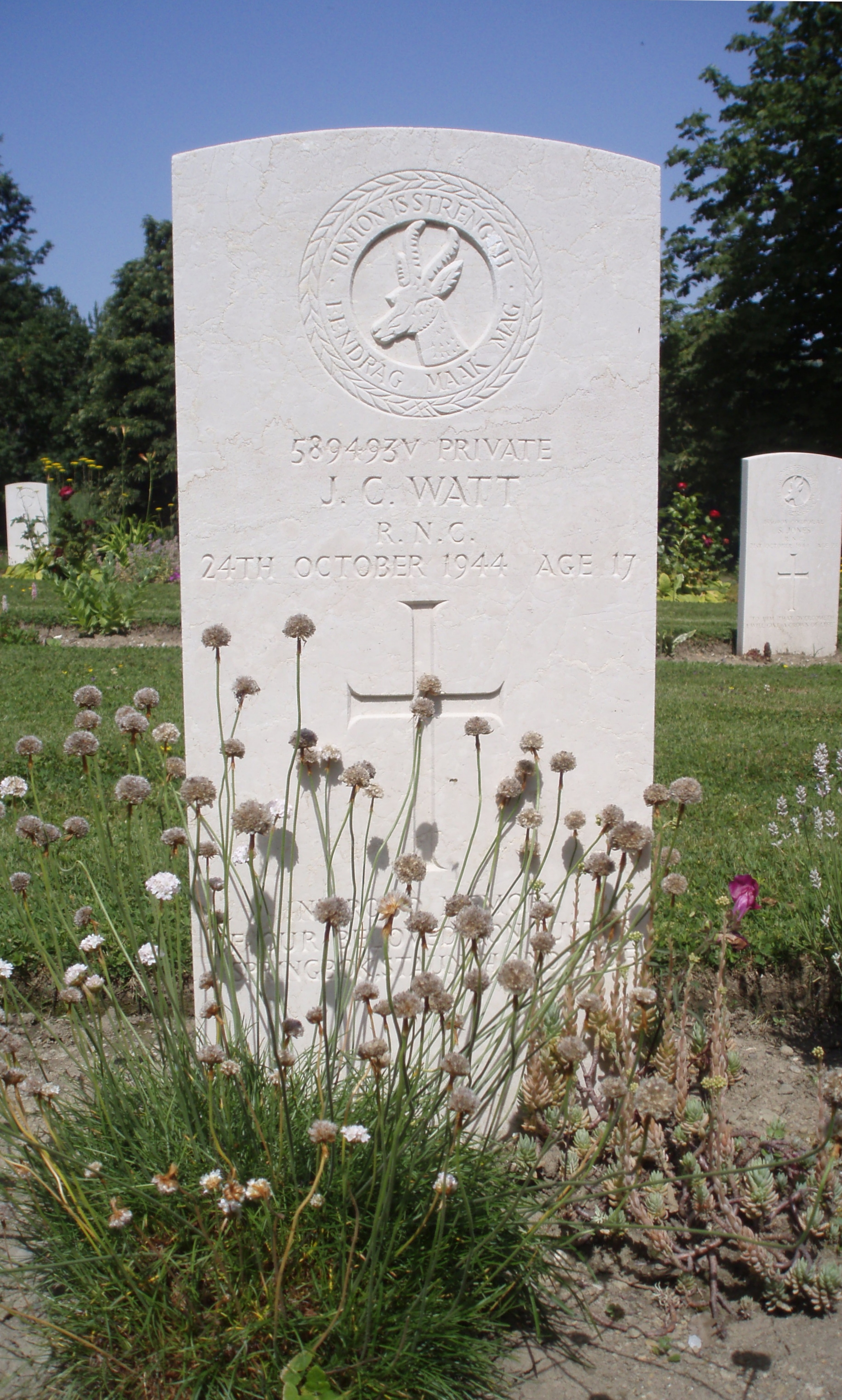 Photo from /search/photos/Italy/CASTIGLIONE SOUTH AFRICAN CEMETERY/CASTIGLIONE SOUTH AFRICAN CEMETERY_Watt_J_C.JPG